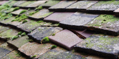 Cadbury Heath roof repair costs
